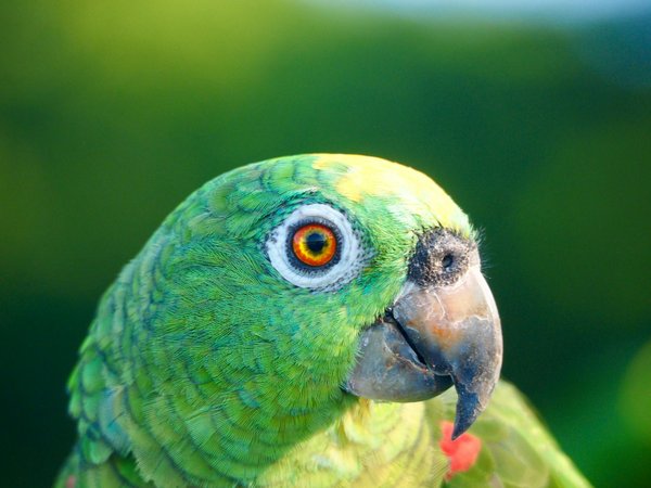 Votre vétérinaire à quévy : des soins adaptés pour chaque animal