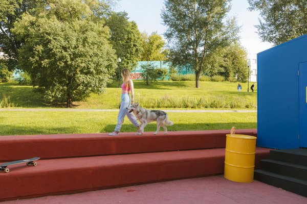 Erreur à éviter lors de l'utilisation de la litière pour chat